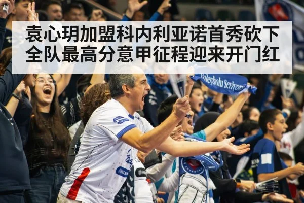 volleyball stadium crowd